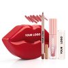 3 in 1 Lip Makeup Kit with Private Label Lip Gloss Lip Liner Lip Balm in Lip Shape Box OEM